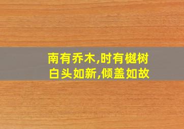 南有乔木,时有樾树 白头如新,倾盖如故